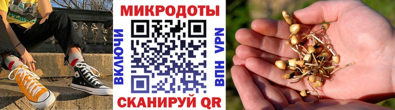 Псилоцибиновые грибы ЛСД хочу наркоту Севастополь